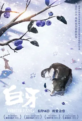 男女搞黄视频